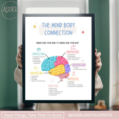 Affiche de connexion esprit-corps, décoration de bureau de thérapie, parties du cerveau, cerveau humain, impression d'anatomie du cerveau, gestion du stress, EMDR, CBT, vol de combat