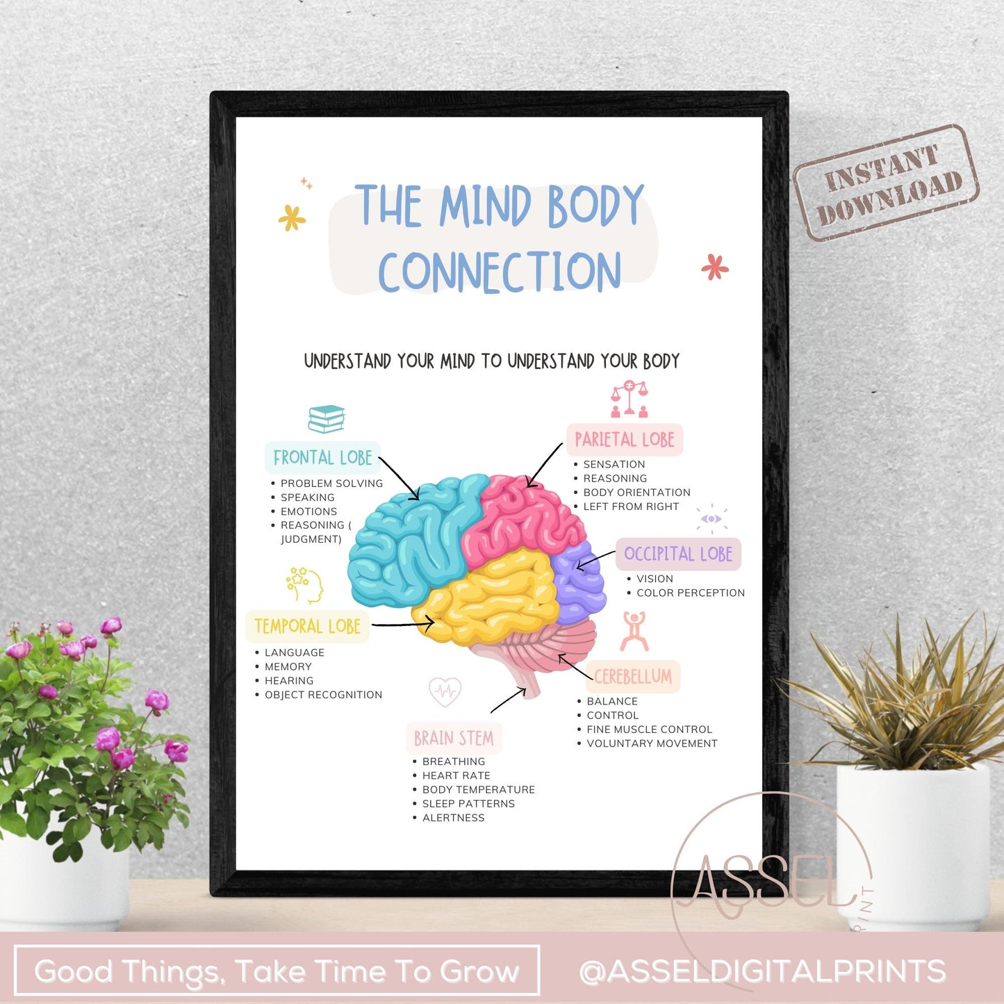 Affiche de connexion esprit-corps, décoration de bureau de thérapie, parties du cerveau, cerveau humain, impression d'anatomie du cerveau, gestion du stress, EMDR, CBT, vol de combat